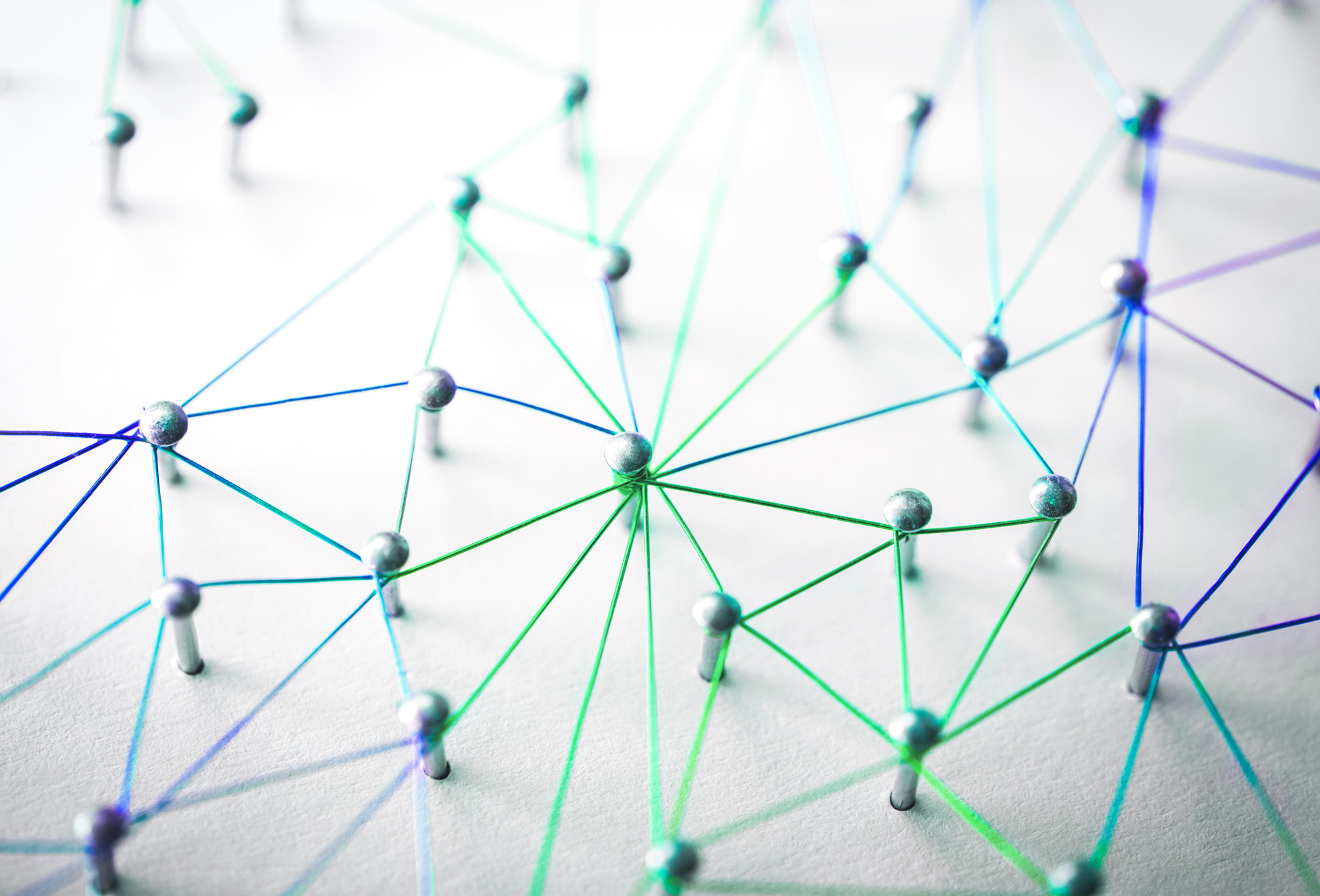 XING vs. LinkedIn